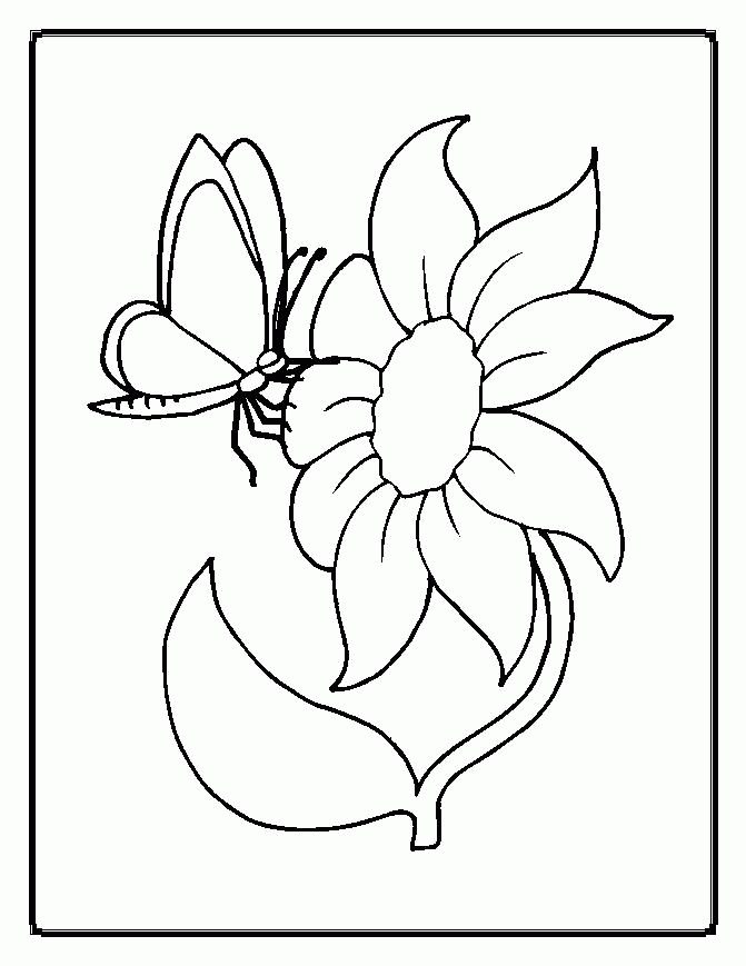 coloring pages of flowers | coloring pages for kids, coloring