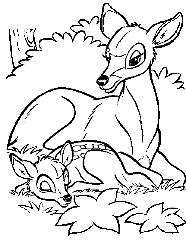 Bambi Coloring Pages 1 | Free Printable Coloring Pages