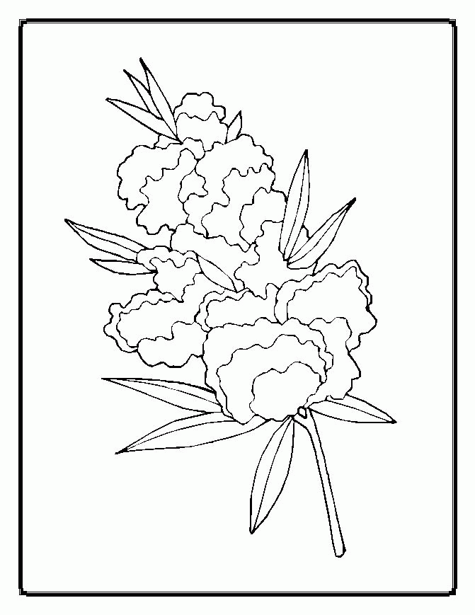 free Flowers Coloring pages | Coloring Pages