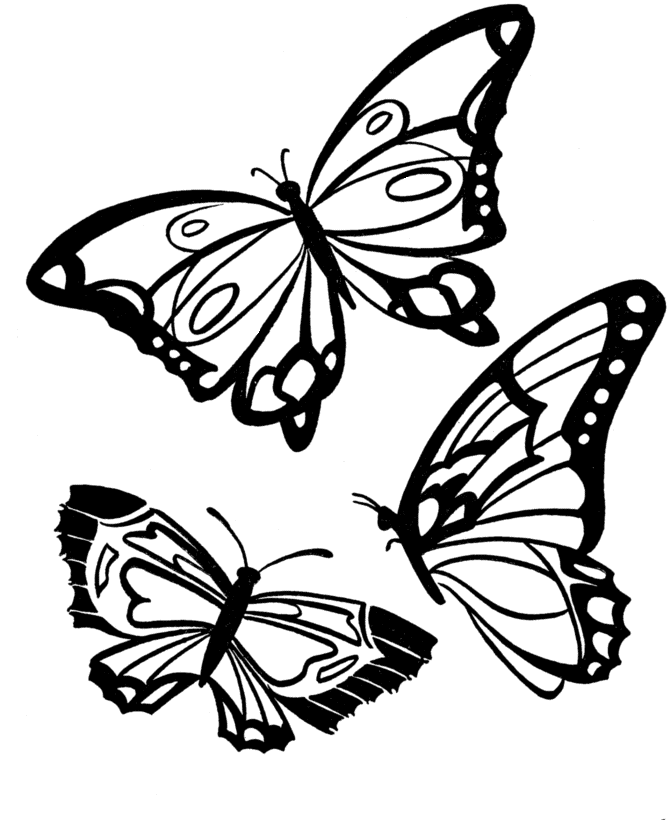 Bluebonkers : Beautiful Butterflies - Summer Coloring Sheets