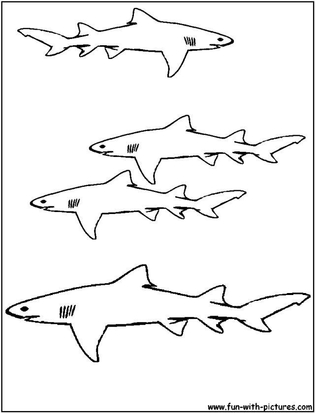 Shark Coloring Pages Great White Shark Coloring Pages Printable