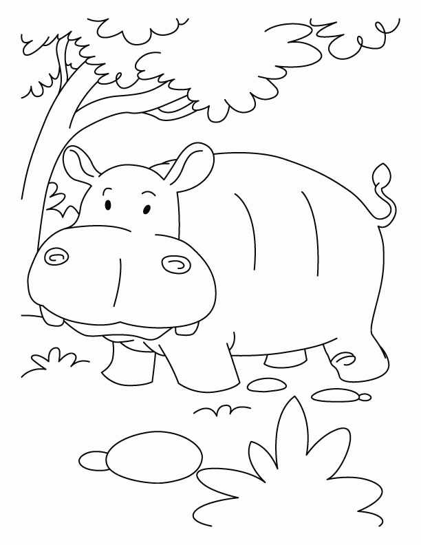 Hippopotamus in jumgle coloring pages | Download Free Hippopotamus