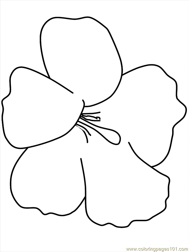 Free Printable Hibiscus Flower Coloring Pages