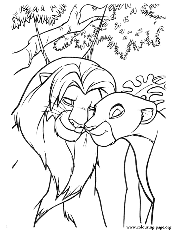 lion king coloring pages - Bing Images | Kids Coloring..