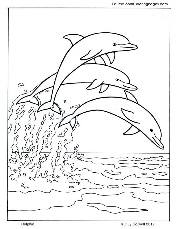 Platypus coloring | Animal Coloring Pages for Kids