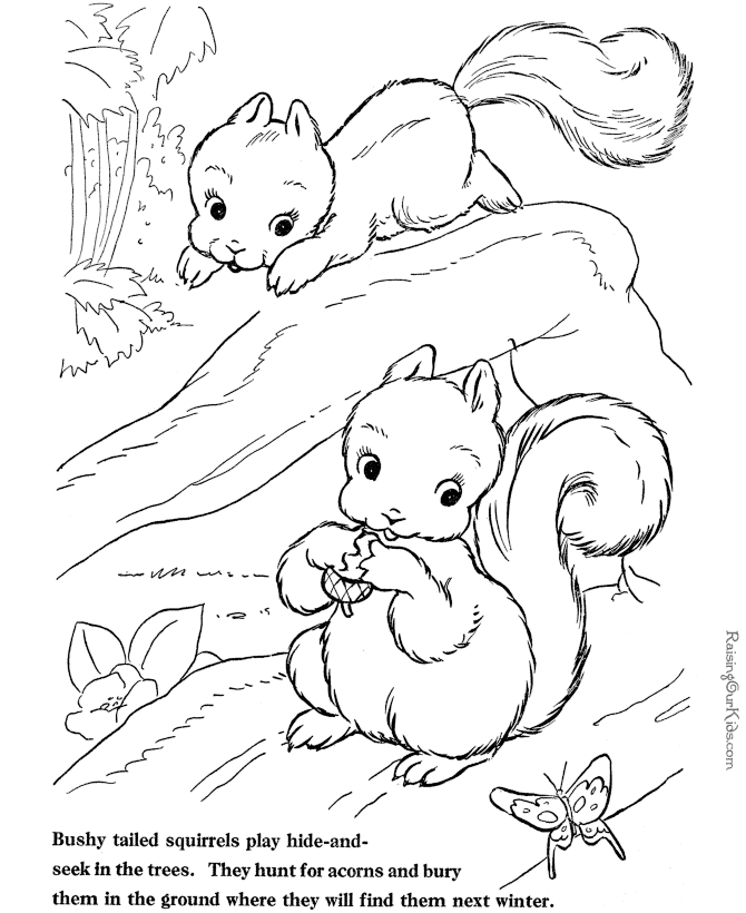 Farm Animal Coloring Sheets - Squirrel coloring sheet 025