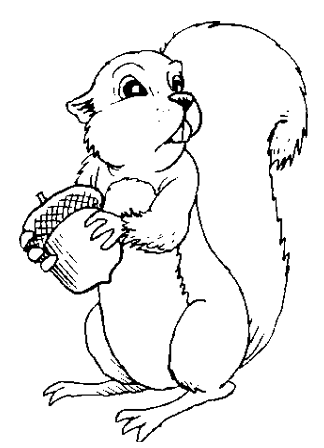 Squirrels Coloring Pages Free Printable Download | Coloring Pages Hub