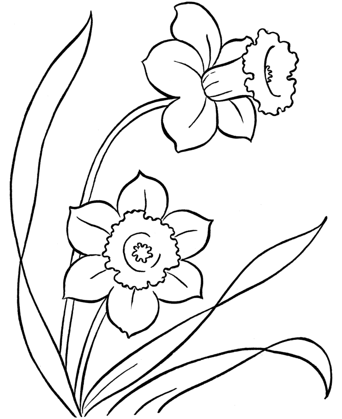 Easter Kids Coloring Pages - Free Printable Easter daffodils