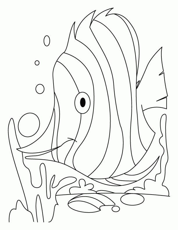 Fish dive coloring pages | Download Free Fish dive coloring pages