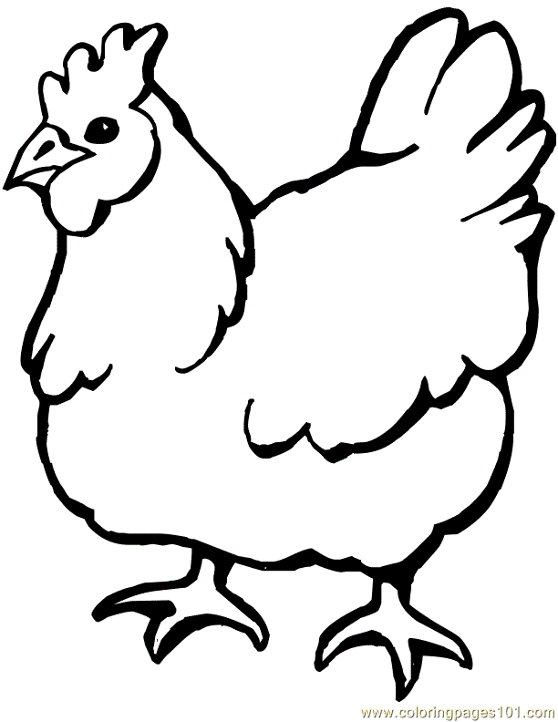 Coloring Pages Chicken fat (Birds > Chicks, Hens and Roosters
