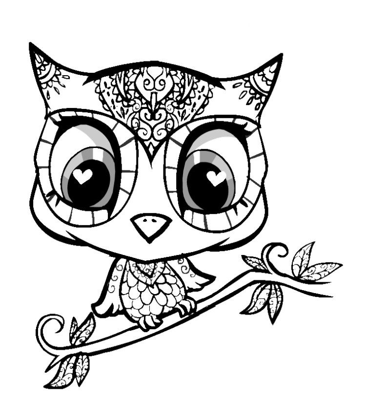 baby owls Colouring Pages (page 2)