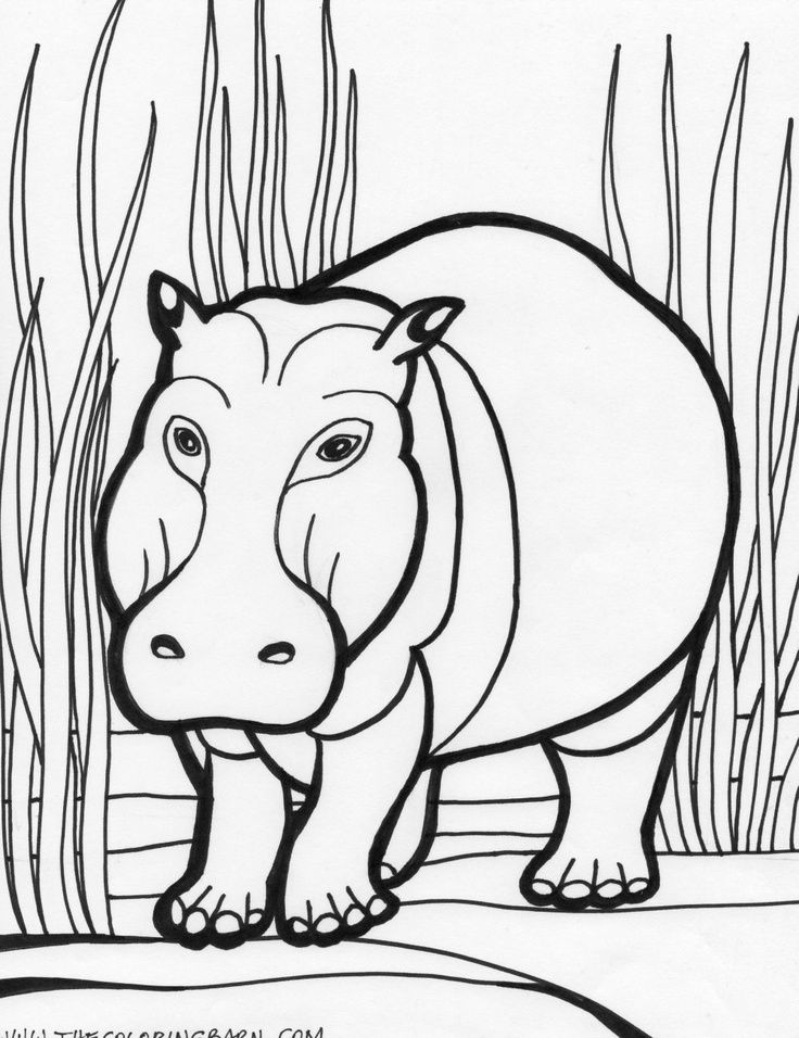 cartoon hippo 1 | the giving tree
