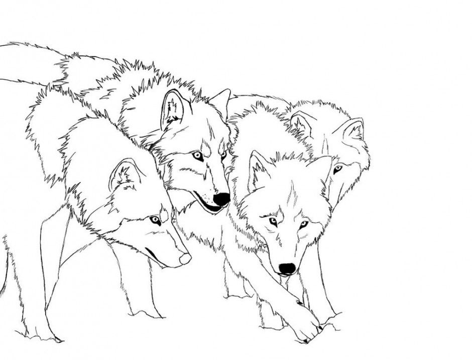 Free Wolf Coloring Pages 120140 Arctic Wolf Coloring Pages