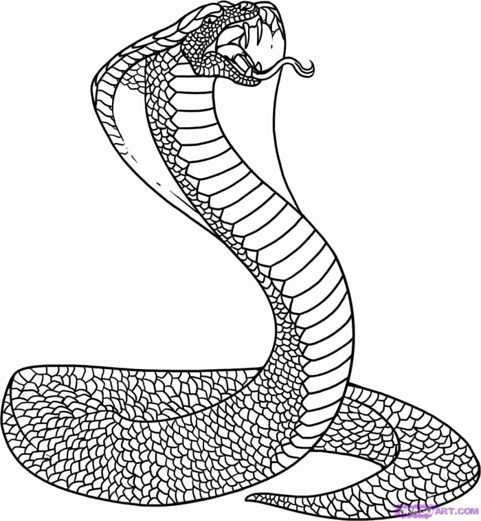 Coloring Page Snakes : Printable Coloring Book Sheet Online for