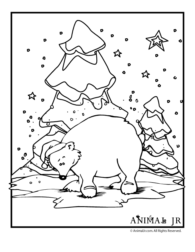 Bear Winter Coloring Pages - Ð¡oloring Pages For All Ages