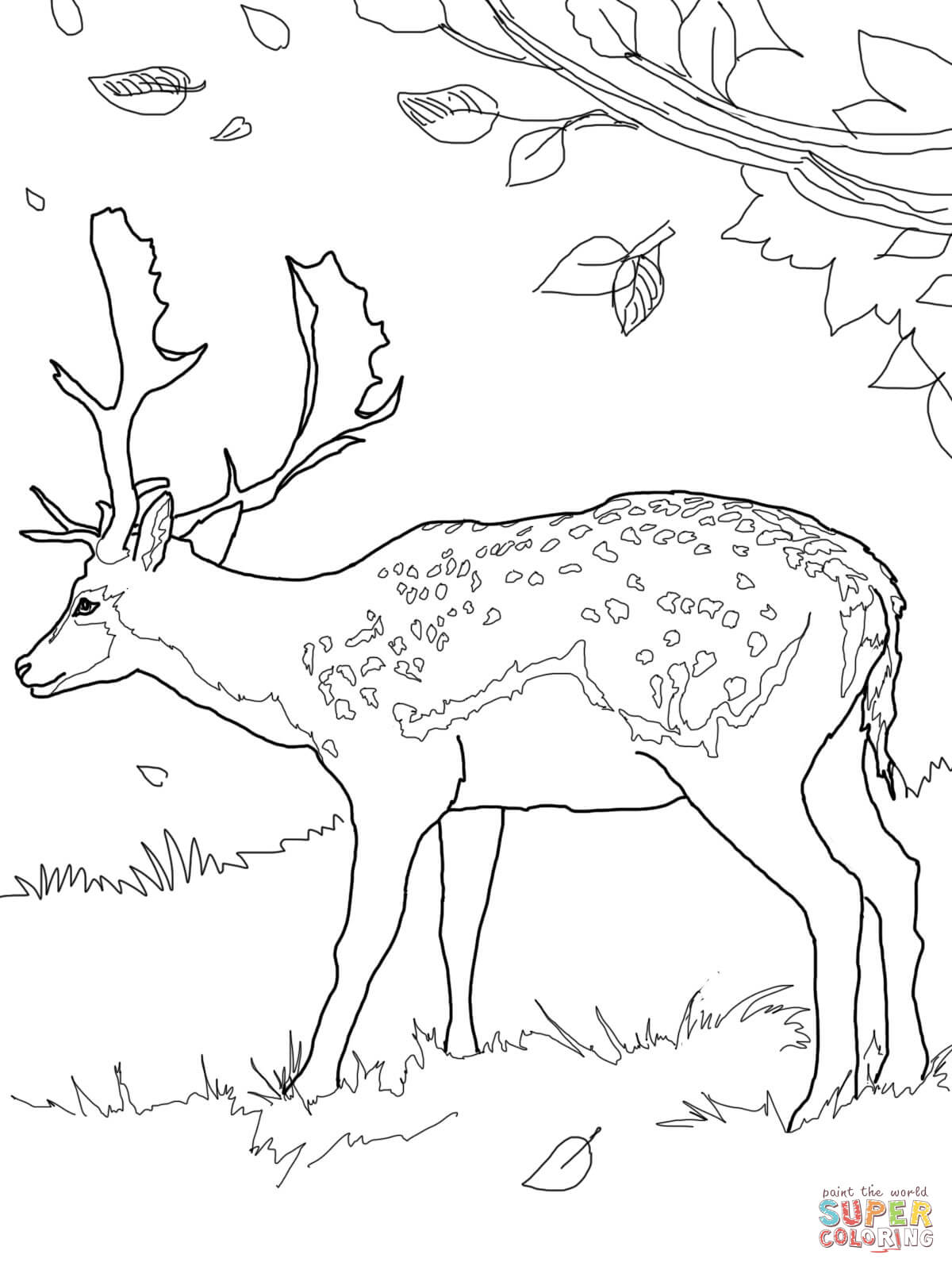 Fallow Deer coloring page | Free Printable Coloring Pages