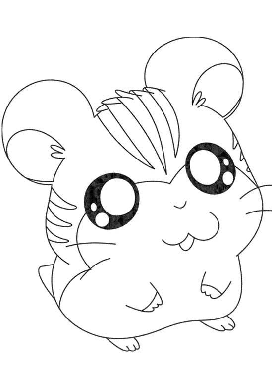 pictures penelope the hamster coloring pages. cute hamster ...