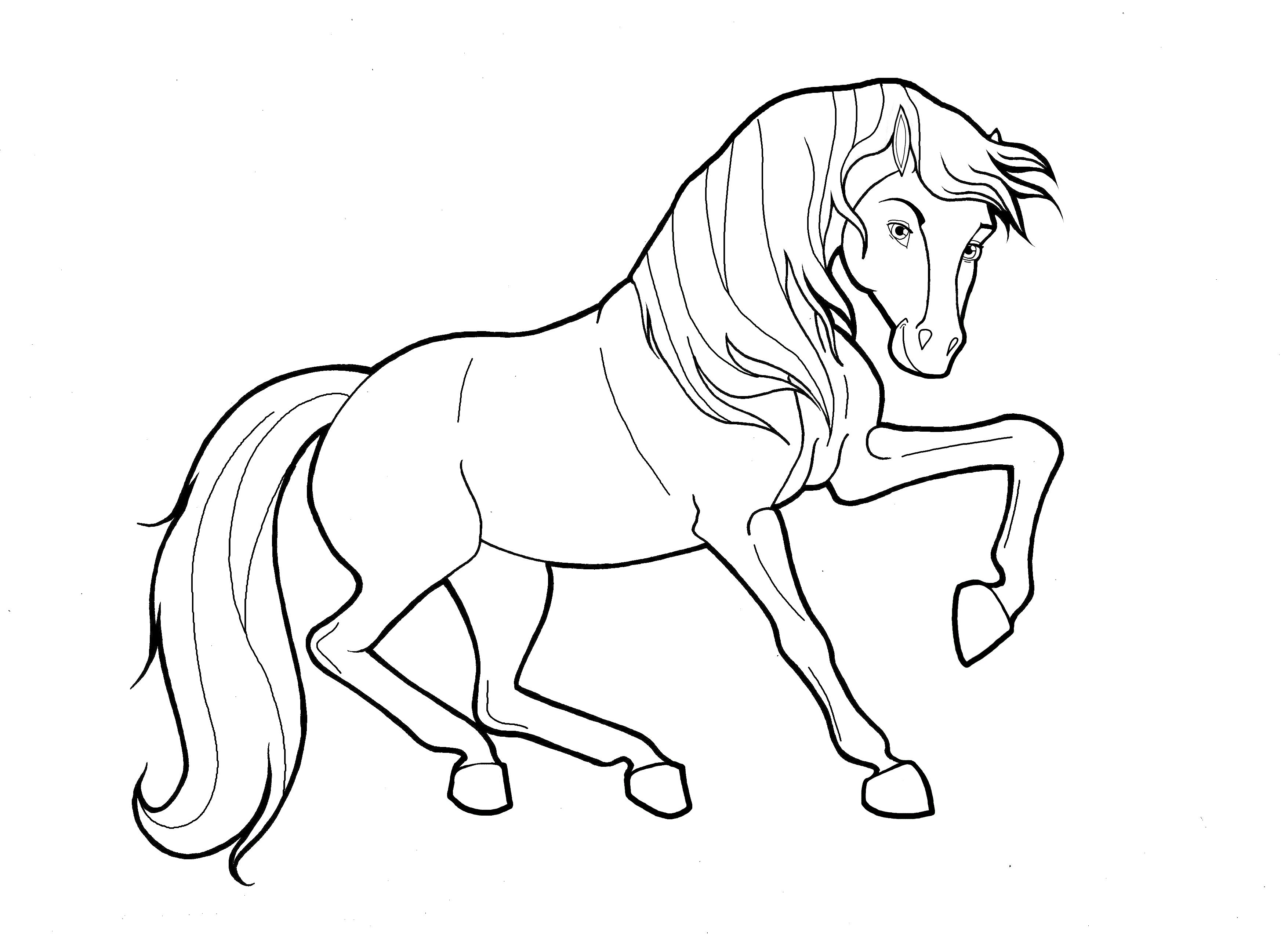 Coloring Pages : Coloring Pages Horses Horse And Foal ...