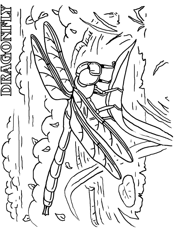 Dragonfly coloring page - Animals Town - Free Dragonfly color sheet