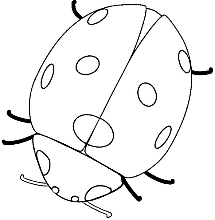 Cute Ladybug Coloring Page