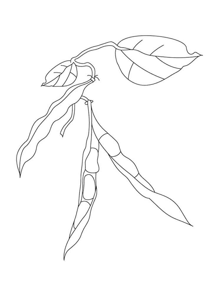 Beans coloring pages. Download and print Beans coloring pages