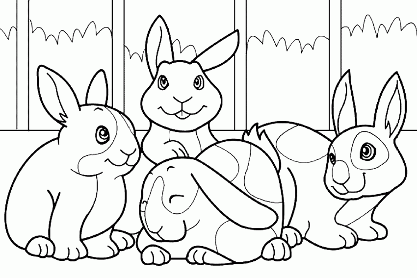 Four Baby Rabbit Coloring Pages Printable - Colorine.net | #24516