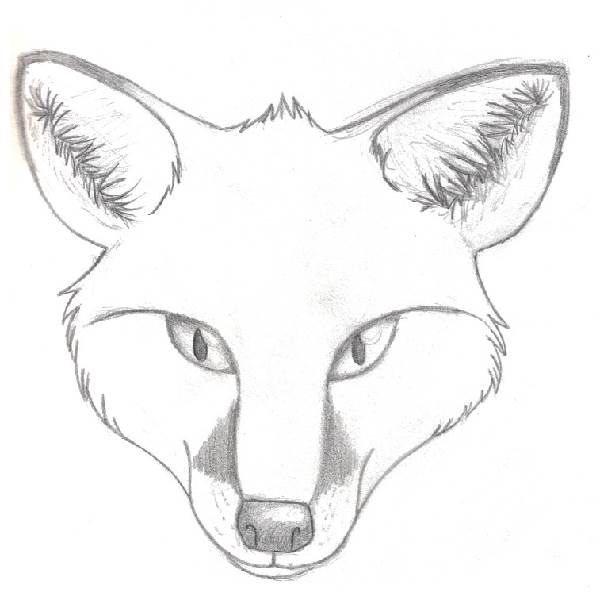 Fox Head Sketch at PaintingValley.com | Explore collection of Fox ...