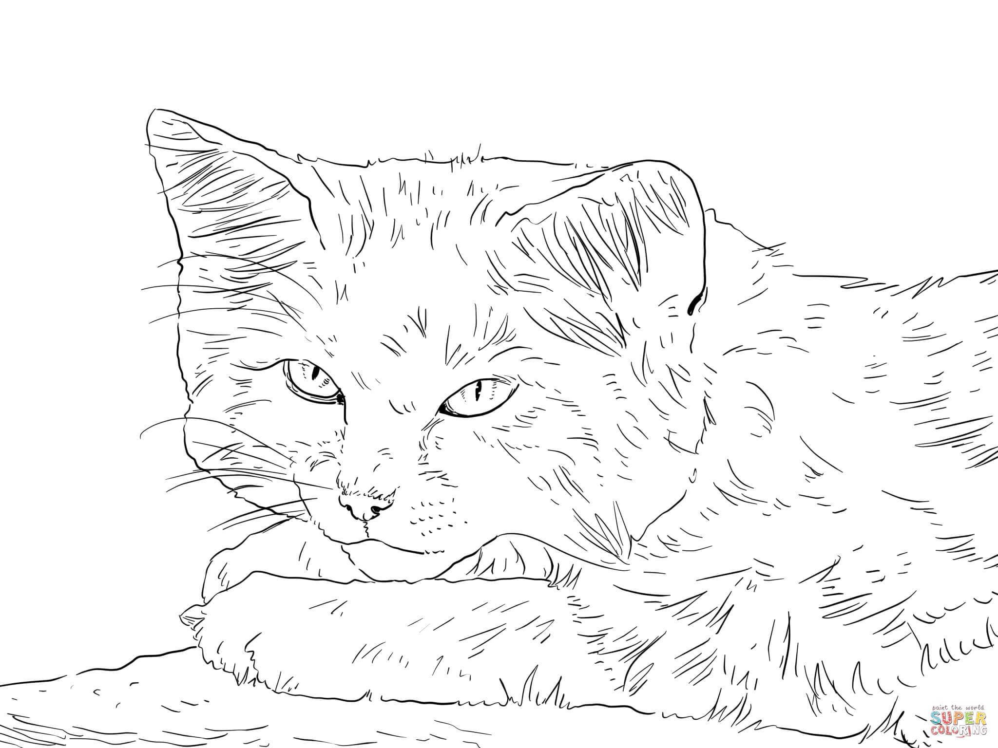 Wild cats coloring pages | Free Coloring Pages