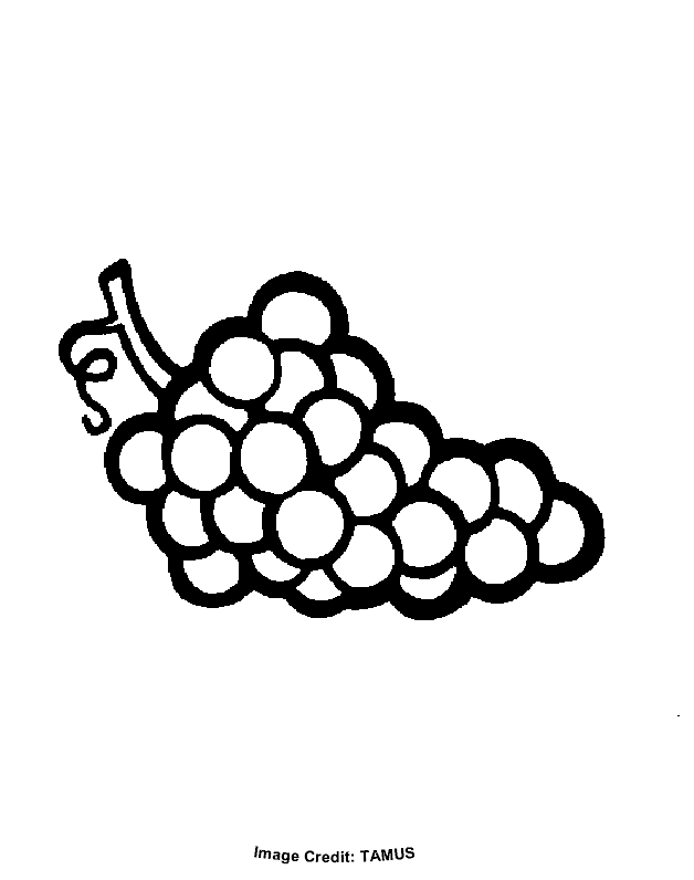 Bunch of Grapes - Free Coloring Pages for Kids - Printable