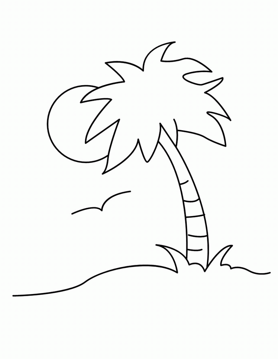 Palm Tree Coloring Page - Widetheme