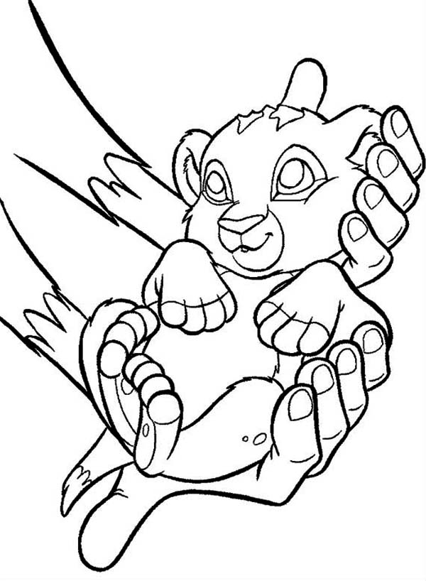 Coloring Pages Of Baby Simba - High Quality Coloring Pages