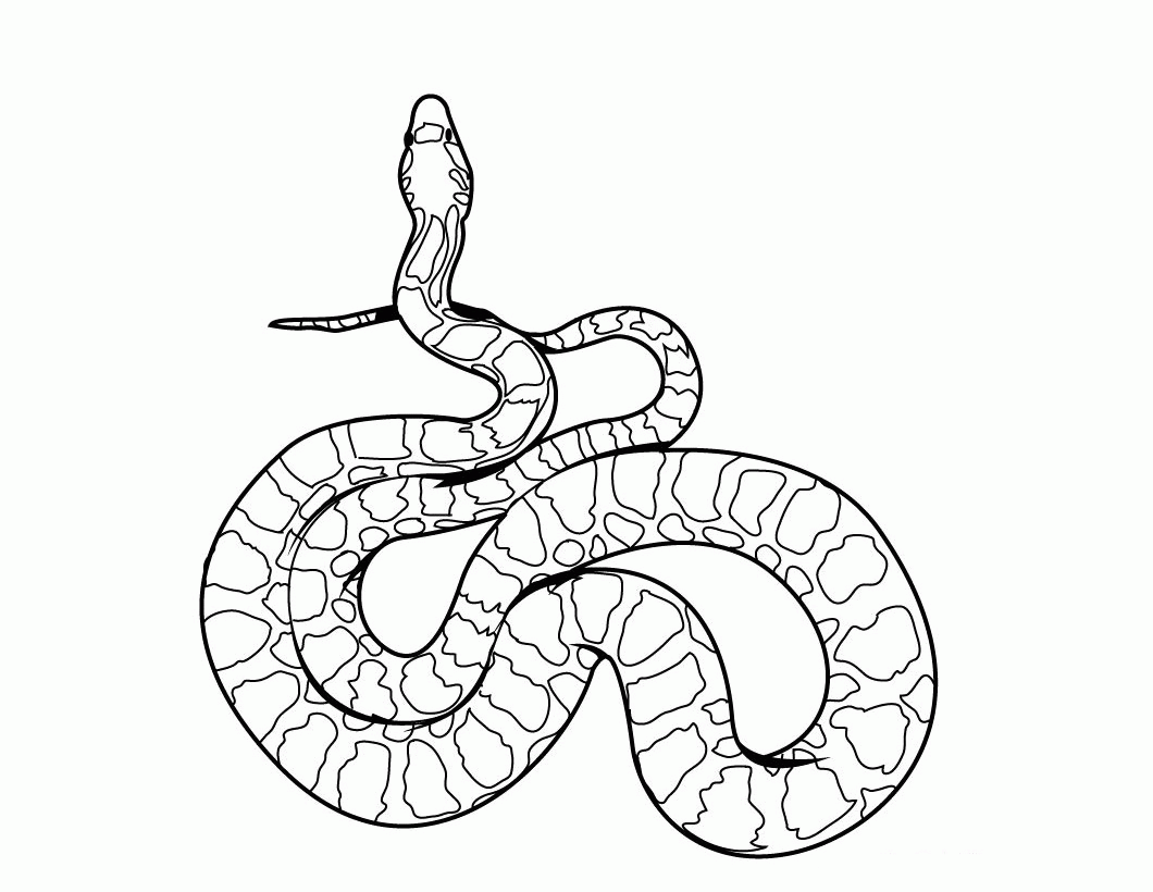 Coloring Pages Of Snakes (19 Pictures) - Colorine.net | 17705