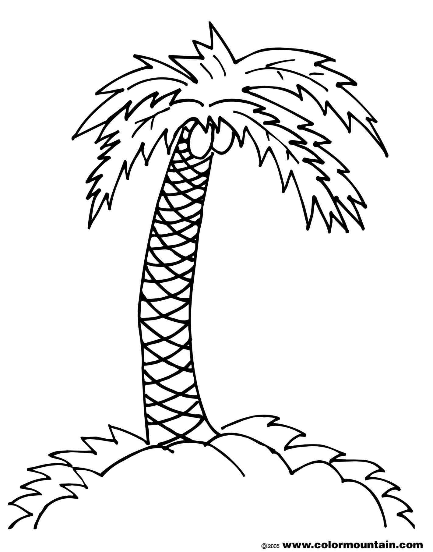 Palm Tree Branches Coloring Pages - High Quality Coloring Pages