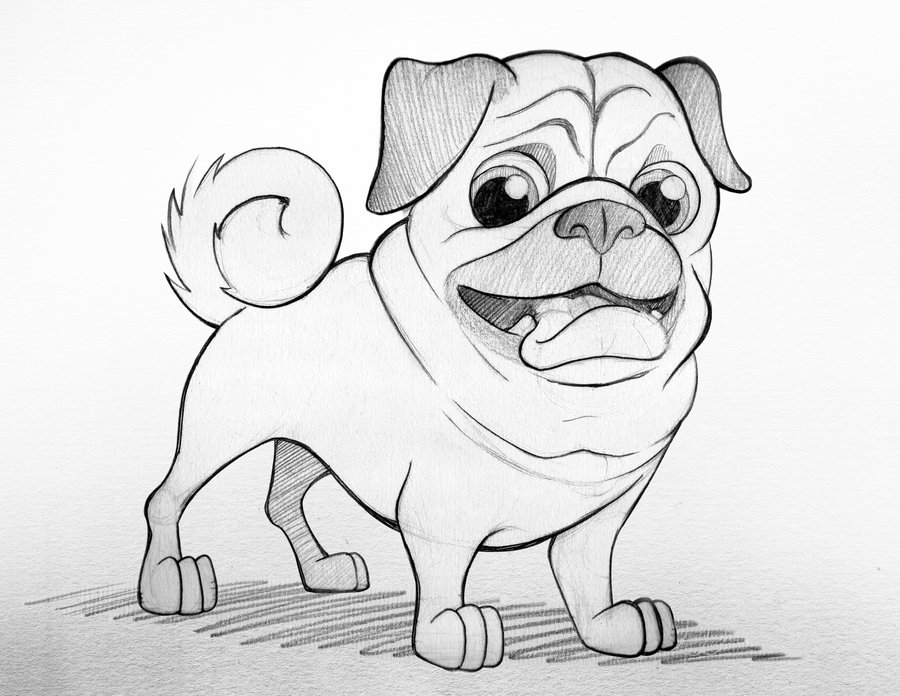 Pug Dog Sketch Coloring Page