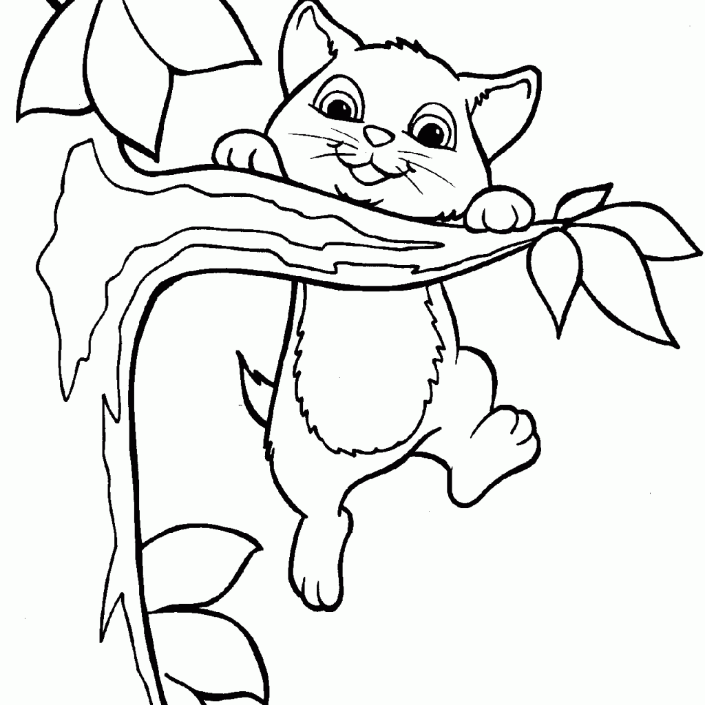Cat Pictures To Color Realistic Cat Coloring Page Printable ...