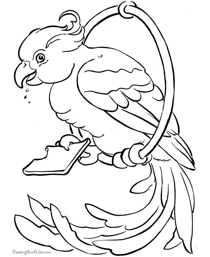 Free Printable Parrot Coloring Pages - Birds