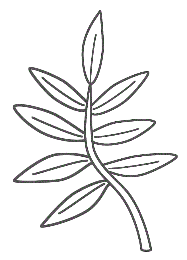 Free Palm Branch Coloring Page, Download Free Clip Art, Free Clip Art on  Clipart Library
