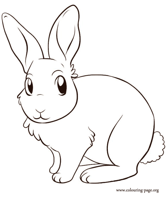 Rabbit Coloring Pages Free Printable | Free Coloring Pages