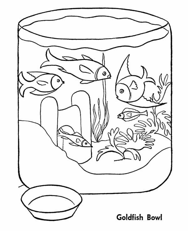 Goldfish In Fish Bowl Coloring Page - Download & Print Online Coloring Pages  for Free | Color Nimbus