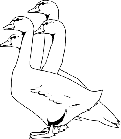 Four Geese coloring page | Free Printable Coloring Pages