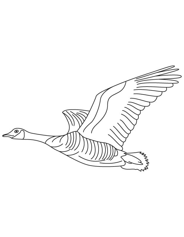 Domestic goose flying coloring page | Download Free Domestic goose flying coloring  page for kids | Best Coloring Pages