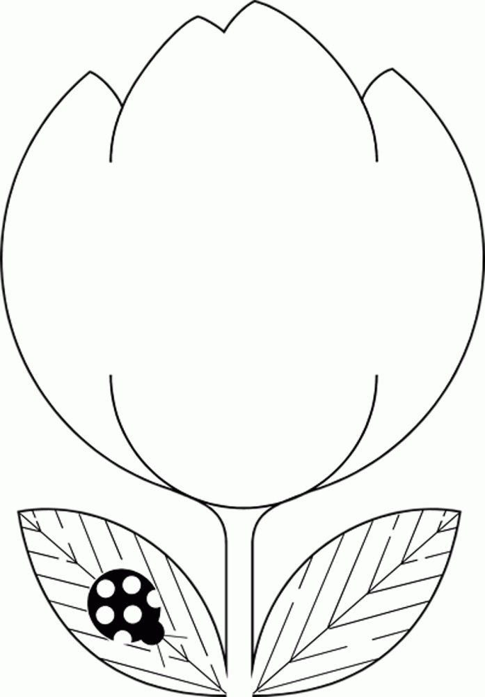 Ladybug Coloring Page | Wow! All About Animals