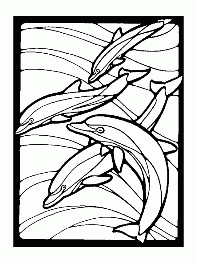 Dolphin Coloring Pages Coloring Kids 52819 Coloring Pages Dolphin