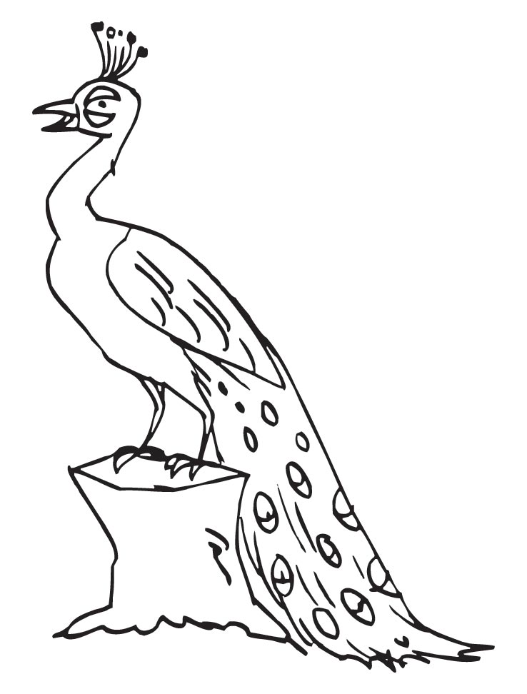 Free Coloring Pages of Peacock | Coloring Pages