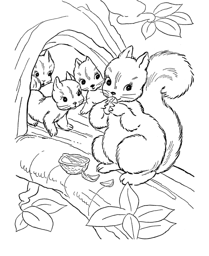 Rainforest Animals Coloring Pages | Free coloring pages