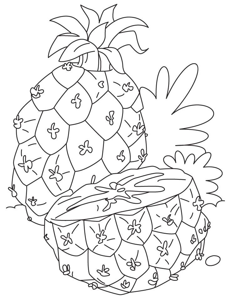 Pineapple Coloring Pages and Book | UniqueColoringPages