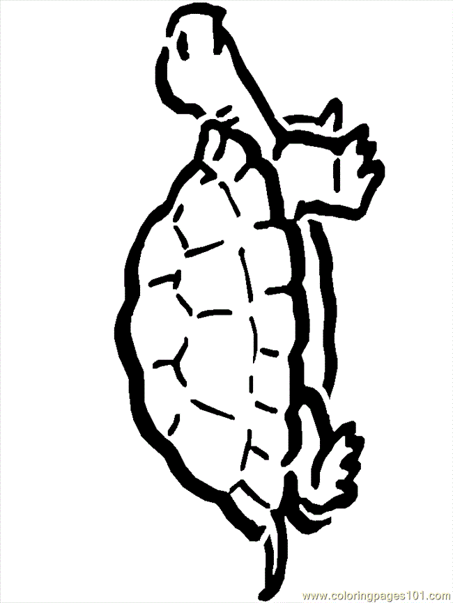 Coloring Pages Turtle Coloring Pages 04 (Reptile > Turtle) - free