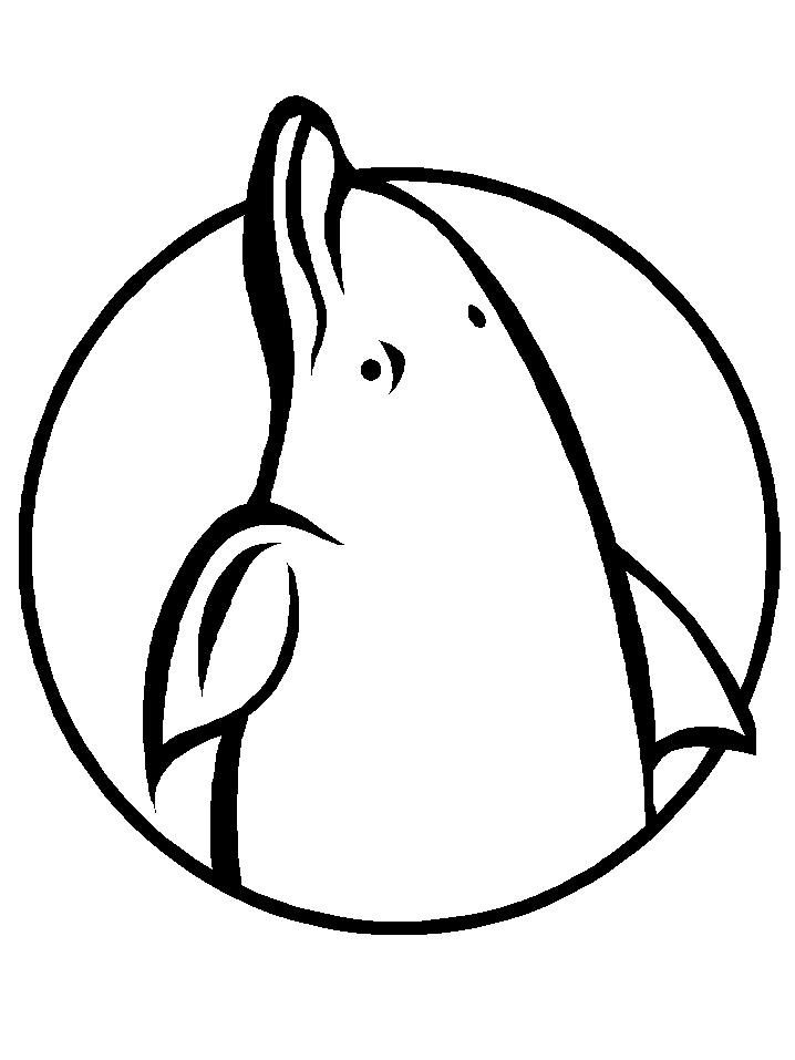 Dolphin Coloring Pages 2 | Coloring Pages To Print