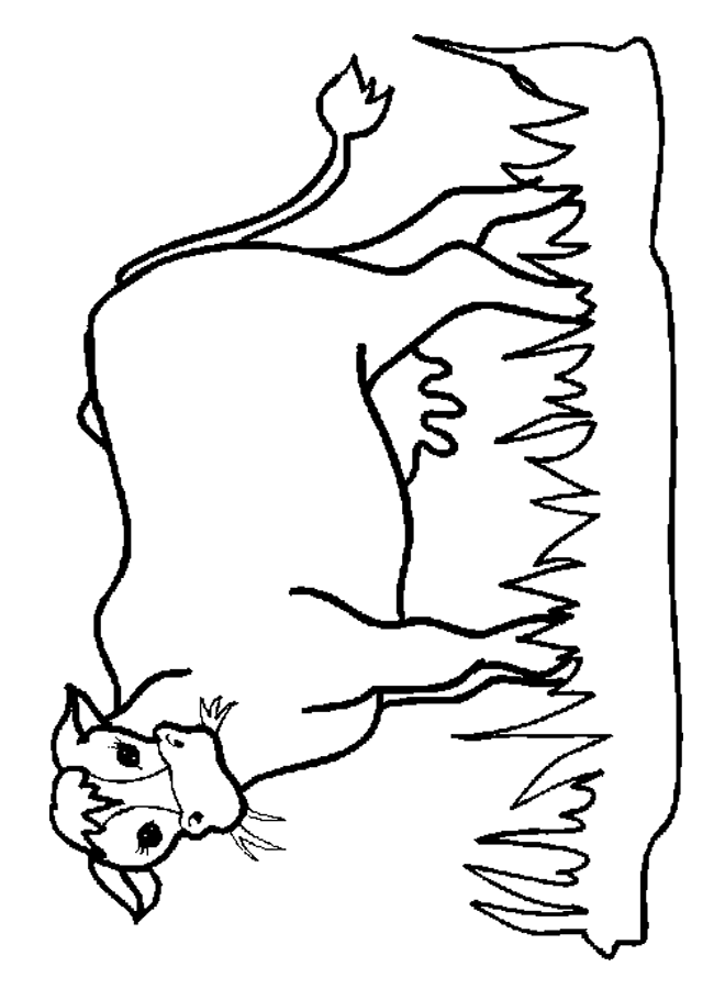 Cows-coloring-2 | Free Coloring Page Site