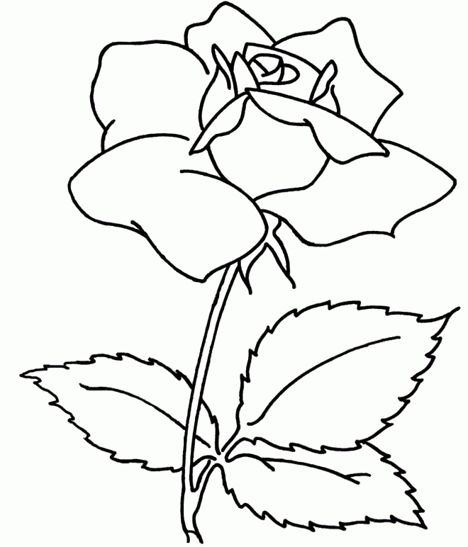 Free Flower Coloring Pages For Adults Printable - VoteForVerde.com